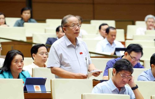Đại biểu Quốc hội TP Hồ Chí Minh Nguyễn Văn Thân - Chủ tịch Hiệp hội Doanh nghiệp nhỏ và vừa Việt Nam phát biểu tại phiên thảo luận tại Quốc hội.
