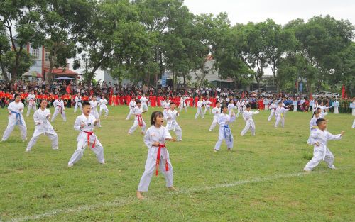  Màn đồng diễn võ thuật tại lễ khai mạc. 