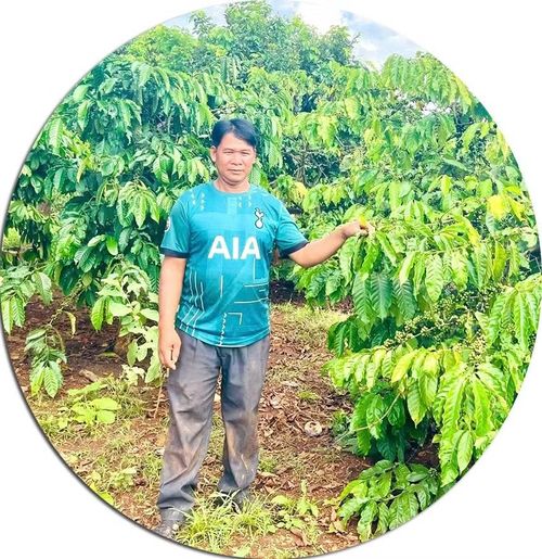  Ông Rơ Châm Nek (làng Triêl, xã Ia Pnôn) bên vườn cà phê gia đình. Ảnh: Phương Dung 