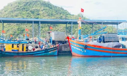  100% tàu cá có chiều dài từ 15 m trở lên cập cảng đều thực hiện đầy đủ thủ tục kiểm tra, giám sát theo quy định. Ảnh: N.T 