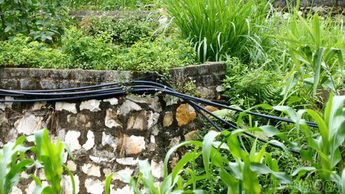 Những đường ống nhựa nhỏ dẫn nước từ khe núi về các gia đình.