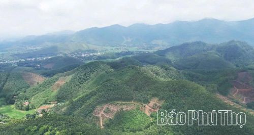 Góc nhìn từ trên cao giúp lực lượng chức năng bao quát toàn bộ diện tích rừng tại những địa hình dốc đứng, hiểm trở.