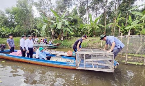 Nhiều hoạt động hấp dẫn, thu hút du khách trong chuỗi sự kiện.