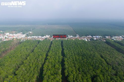 Ở giai đoạn tiếp theo, tuyến giao với ĐT.998, cách vòng xoay Suối Rao - Phước Tân khoảng 1 km, đồng thời đi về phía nam khu vực hồ Sông Ray theo quy hoạch. Đoạn cuối tuyến vòng tránh khu dân cư thị trấn Xuyên Mộc tại khoảng Km31 - Km34, giao với Quốc lộ 55 tại khoảng Km36 trước khi đi qua khu vực rừng bảo tồn thiên nhiên Bình Châu - Phước Bửu và kết thúc tại điểm giao với ĐT.994.