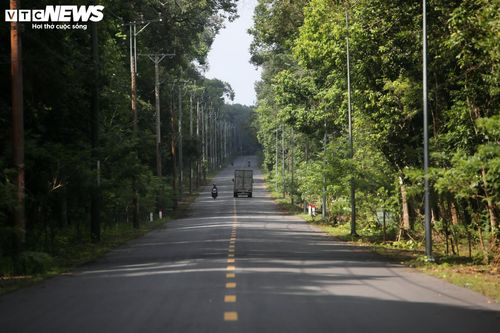 Dự án được đầu tư với quy mô hoàn chỉnh 8 làn xe cao tốc, vận tốc thiết kế 100 km/h, kèm hệ thống đường song hành hai bên. Tổng diện tích sử dụng đất gần 400 ha.