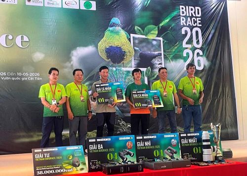Ban tổ chức trao giải cho các cá nhân xuất sắc nhất