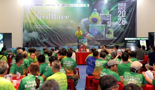 Vietnam Bird Race 2026 là cuộc thi quan sát và ghi nhận các loài chim hoang dã quy mô lớn tại Việt Nam