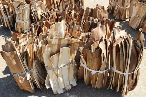 Mo cau sau khi thu gom được phân loại, phơi khô trước khi đưa vào sản xuất