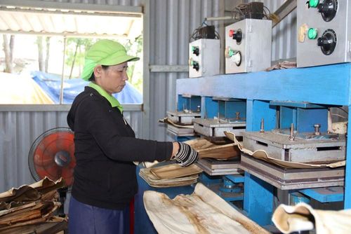 Chén, dĩa làm từ mo cau được sản xuất theo quy trình không sử dụng hóa chất