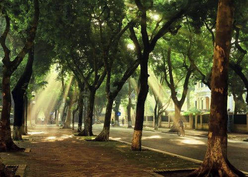 Thủ đô Hà Nội là một trong 5 thành phố tiêu biểu trên thế giới và đại diện cho khu vực châu Á - Thái Bình Dương nhận giải thưởng “Thành phố vì hòa bình” năm 1999