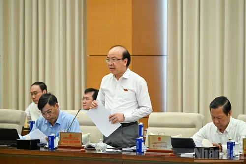 Chủ nhiệm Ủy ban Pháp luật và Tư pháp Phan Chí Hiếu nêu quan điểm thẩm tra. (Ảnh: DUY LINH)