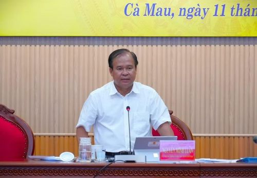 Ông Nguyễn Minh Luân phát biểu tại cuộc họp.