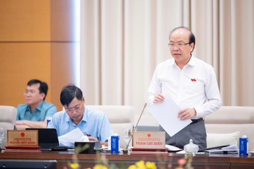 Chủ nhiệm Ủy ban Pháp luật và Tư pháp Phan Chí Hiếu trình bày Báo cáo thẩm tra dự án Pháp lệnh