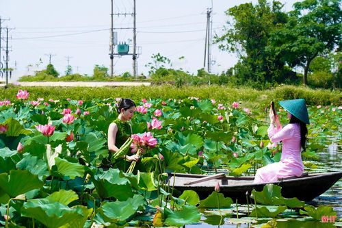 Những năm gần đây, nhờ sự lan tỏa của mạng xã hội, đầm sen tại thôn Hội Minh đã trở thành địa chỉ check-in quen thuộc của người dân trong và ngoài vùng, đặc biệt là giới trẻ.