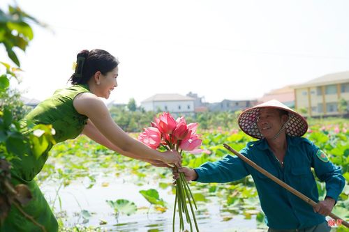 Mô hình trồng sen tại đây vừa tạo điểm nhấn cho diện mạo làng quê, vừa là nguồn sinh kế ổn định của 2 gia đình trực tiếp canh tác. Sau mùa khoe sắc, mỗi đài sen trĩu hạt sẽ mang về nguồn thu đáng kể, góp phần nâng cao hiệu quả kinh tế hộ gia đình.