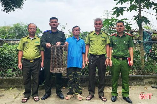 Vườn Quốc gia Vũ Quang, Hạt Kiểm lâm Đức Thọ cùng các lực lượng chức năng tiếp nhận cá thể trăn đất do người dân bàn giao.