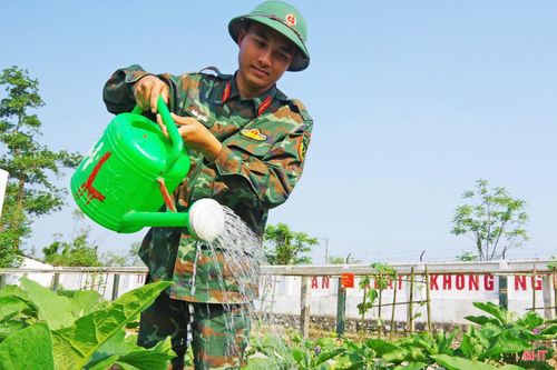 Trên các luống rau xanh đã cho thu hoạch, hàng ngày, bộ đội đều dành thời gian tưới nước, làm cỏ, bón phân, chăm sóc sâu bệnh... Những luống rau sạch này không chỉ giúp nâng cao chất lượng bữa ăn mà còn tạo cảnh quan doanh trại xanh, sạch, đẹp.