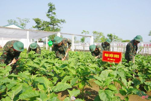 Vào những ngày nghỉ, giờ nghỉ, khu tăng gia rộn ràng hơn bởi Trung đội Phục vụ nhận được sự chi viện nhiệt tình từ cán bộ, chiến sĩ các tiểu đội, trung đội khác. Mọi người cùng nhau cuốc đất, chăm rau, vệ sinh chuồng trại, góp phần nâng cao hiệu quả sản xuất và thắt chặt tình đồng đội.