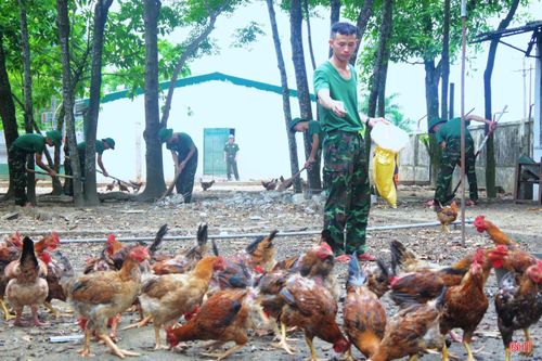 Cùng với trồng trọt, Trung đoàn 841 hiện duy trì đàn gia cầm gần 2.000 con. Khu chuồng trại được quy hoạch hợp lý, thường xuyên vệ sinh sạch sẽ, phòng dịch cẩn thận nên hiệu quả khá cao. Nguồn thực phẩm từ chăn nuôi góp phần cải thiện bữa ăn và nâng cao đời sống cho bộ đội.