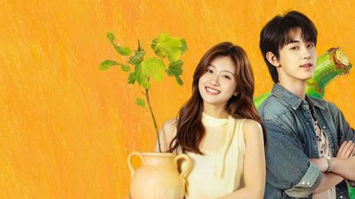 Giữa loạt phim nặng màu sắc trinh thám và đấu trí, Tình Ca Kashgar mang đến không khí nhẹ nhàng hơn với câu chuyện tình yêu lấy bối cảnh vùng Kashgar thuộc Tân Cương. Bộ phim gây ấn tượng nhờ những khung hình giàu chất thơ, nhịp kể chậm rãi cùng cảm giác chữa lành. Nội dung không quá kịch tính nhưng lại tạo được sự đồng cảm bởi cảm xúc chân thật và gần gũi.