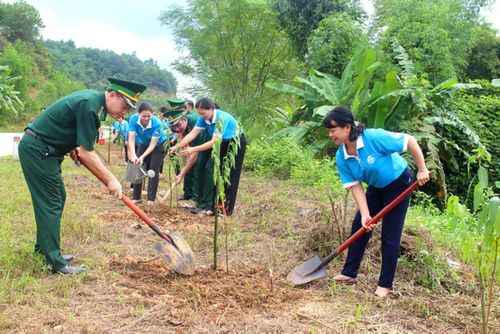 Các tổ chức chính trị - xã hội ở Lạng Sơn chung tay cùng Bộ đội Biên phòng gây dựng màu xanh biên cương.