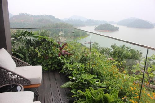 Không gian xanh trên balcon tầng 3 của một ngôi nhà ở Flamingo Maison 108 Ho Nui Coc. Ảnh: Chu Khôi.