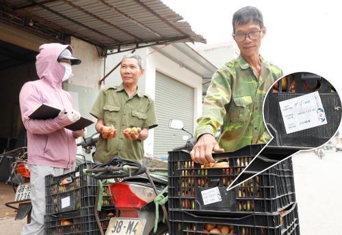 Ông Mông Văn Mỹ, thôn Phúc Lễ phấn khởi khi những trái vải đầu tiên của gia đình được tuyển chọn xuất khẩu với giá cao.
