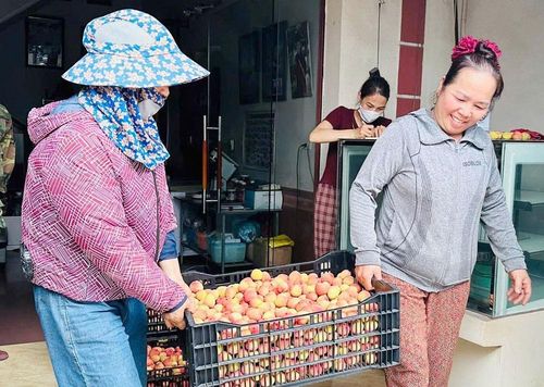Mỗi khay vải thiều được đóng có trọng lượng từ 20-25 kg.