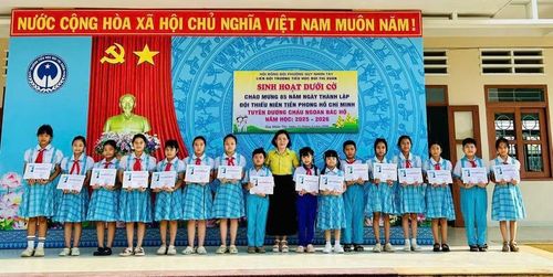 Liên đội Trường Tiểu học Bùi Thị Xuân (phường Quy Nhơn Tây) lồng ghép việc tuyên dương danh hiệu "Cháu ngoan Bác Hồ" trong lễ chào cờ sáng 11-5. Ảnh: Tỉnh đoàn