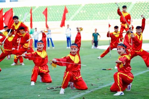  Các võ sĩ trình diễn võ thuật cổ truyền Bình Định tại buổi lễ khai mạc. Ảnh: Văn Ngọc 