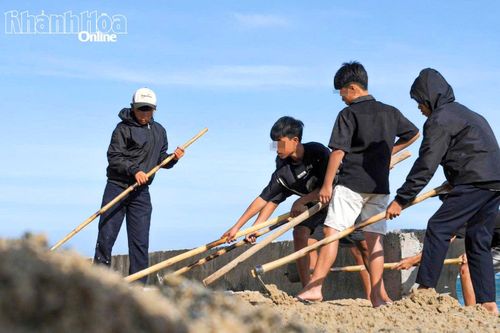 Thanh thiếu niên vi phạm tích cực tham gia các hoạt động tại cộng đồng.