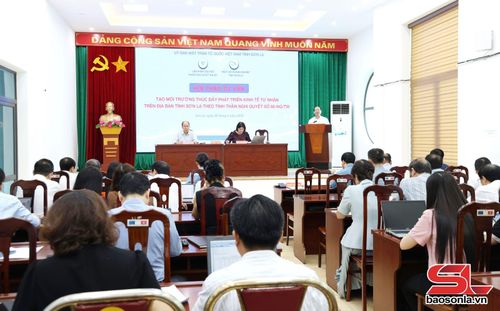 Hội thảo tư vấn “Tạo môi trường thúc đẩy phát triển kinh tế tư nhân trên địa bàn tỉnh theo tinh thần Nghị quyết số 68-NQ/TW năm 2026”. Ảnh: PV