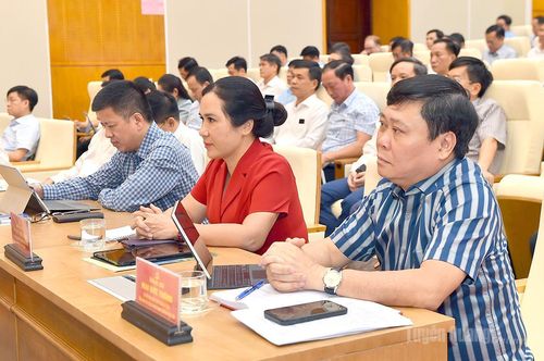 Các đại biểu dự hội nghị.