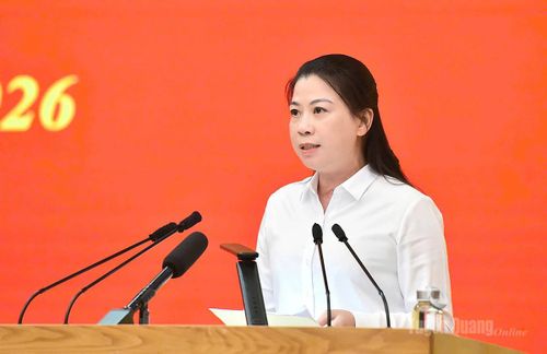 Đồng chí Phó Bí thư Thường trực Tỉnh ủy, Trưởng đoàn ĐBQH tỉnh Lê Thị Kim Dung trình bày báo cáo tại hội nghị.