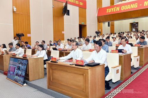 Các đồng chí lãnh đạo Trung ương và lãnh đạo tỉnh dự hội nghị.