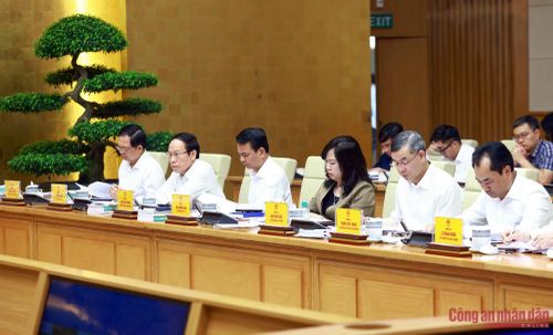 Các đại biểu dự phiên họp.