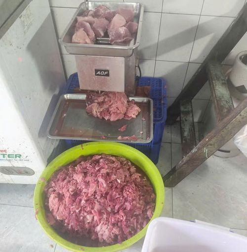 Thịt bò giả và thịt đông lạnh ngâm hóa chất.