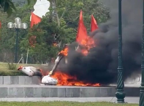 Linh vật ngựa trưng bày ở công viên bị đốt cháy. Ảnh cắt từ video clip