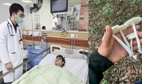 Các nạn nhân ăn nấm độc cấp cứu tại Trung tâm Chống độc, Bệnh viện Bạch Mai.