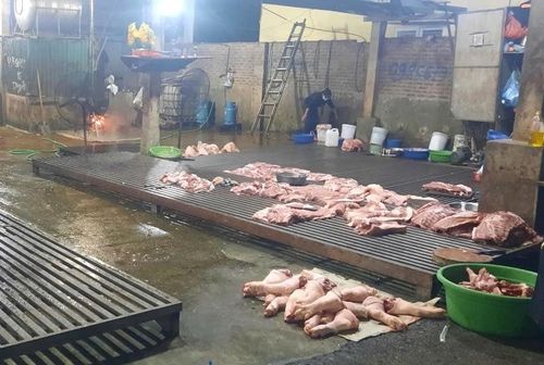Một cơ sở giết mổ gia súc nhỏ lẻ trong khu dân cư thôn Phúc Lâm Thượng (xã Phúc Sơn). Ảnh: PV