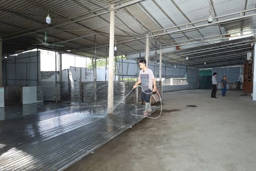Gia đình ông Lê Văn Hải ở thôn Phúc Lâm Trung đã đầu tư cơ sở giết mổ gia súc ở ngoài khu dân cư, sẵn sàng hỗ trợ các hộ có nhu cầu. Ảnh: Kim Nhuệ