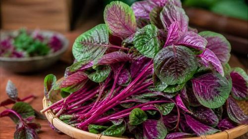 Rau dền giàu vitamin và khoáng chất có nhiều lợi ích cho sức khỏe.