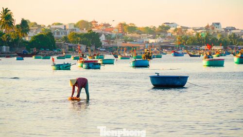 Mũi Né (phường Mũi Né, tỉnh Lâm Đồng) không chỉ nổi tiếng với những bãi biển dài và các khu nghỉ dưỡng ven biển, mà còn níu chân du khách bởi một góc rất khác: Làng chài truyền thống bình dị, nơi nhịp sống mưu sinh bắt đầu từ khi trời còn lờ mờ sáng.