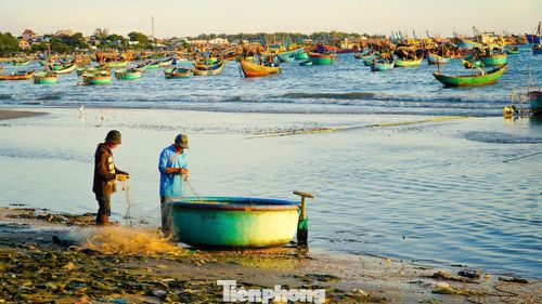 Nhiều ngư dân tranh thủ vá lưới, chuẩn bị cho chuyến ra khơi tiếp theo.