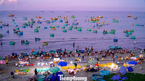 Khoảng từ 4h30 sáng, không khí làng chài bắt đầu rộn ràng. Trên bãi cát, thương lái đã có mặt từ sớm, nhanh chóng thu mua cá, ghẹ, sò, ốc ngay khi thuyền vừa neo lại.