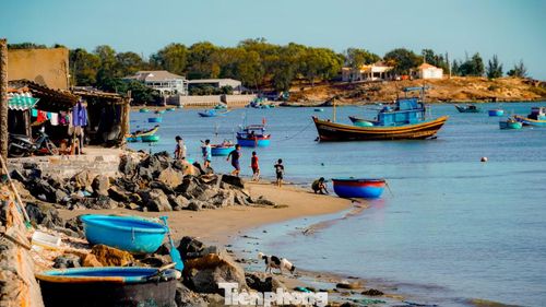 Những năm gần đây, làng chài Mũi Né trở thành 'tọa độ check-in' của nhiều du khách bởi khung cảnh bình yên với những chiếc thúng chai nhiều màu sắc, lưới cá phơi dọc bãi biển và ánh bình minh phủ vàng mặt nước.