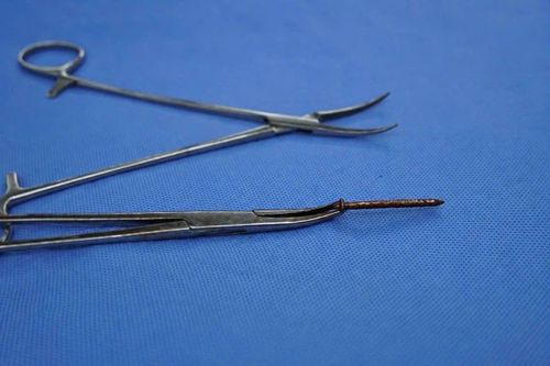 Cây đinh được lấy ra sau phẫu thuật