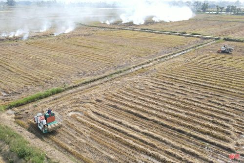 Sau khi hoàn thành thu hoạch lúa vụ xuân, trên nhiều cánh đồng ở Hà Tĩnh, những chiếc máy cuộn rơm hoạt động liên tục để thu gom rơm rạ còn sót lại. Chỉ trong thời gian ngắn, rơm được cuộn thành từng bó lớn, giúp đồng ruộng sạch sẽ, thuận lợi cho sản xuất vụ tiếp theo.