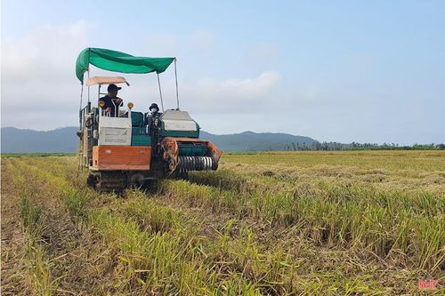 Theo các chủ máy, quy trình vận hành máy cuộn rơm khá đơn giản. Rơm được trục bánh răng cuốn vào bên trong, nén chặt thành khối rồi tự động quấn dây, thắt nút để tạo thành từng cuộn hoàn chỉnh. Trung bình, mỗi máy có thể thực hiện được từ 80 - 100 cuộn rơm mỗi giờ, thời gian hoàn thành một cuộn chỉ khoảng 1 - 2 phút.