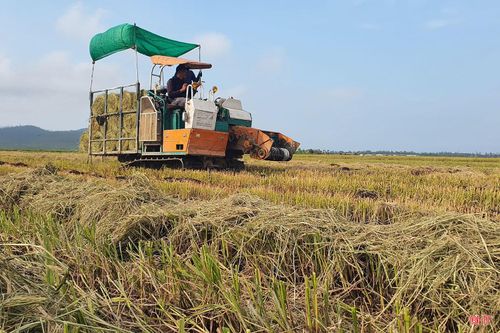 Không chỉ tại xã Can Lộc, trên nhiều cánh đồng ở các địa phương khác của Hà Tĩnh, máy cuộn rơm cũng đang hoạt động hết công suất sau mùa thu hoạch lúa. Việc cơ giới hóa khâu thu gom rơm rạ không chỉ giúp đẩy nhanh tiến độ làm đất cho vụ mới mà còn hạn chế tình trạng đốt rơm gây ô nhiễm môi trường.